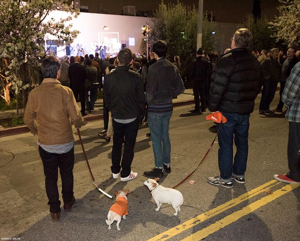 65-black-cat-protest-yannick-delva