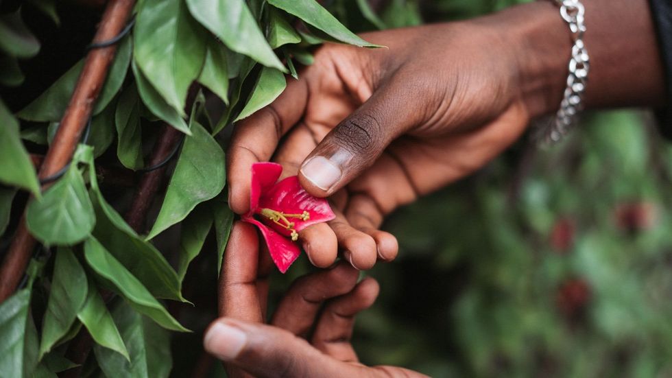 
<p>New Plant-Based Ingredient Could Advance HIV Treatment</p>
