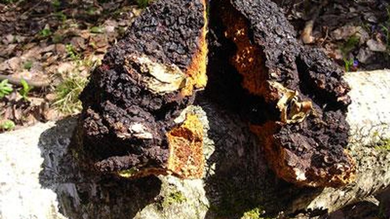 Chagax400_hivplusmag