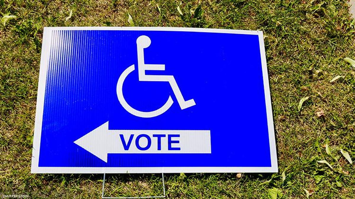 DISABILITY VOTER