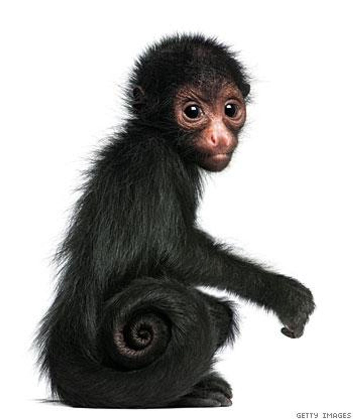 Evolutionrevolutionx350_0