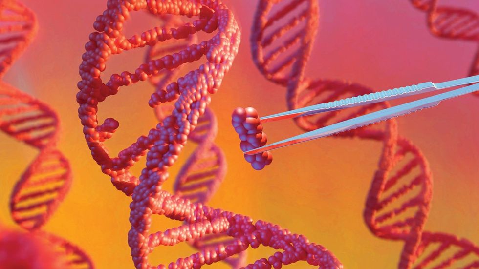 
<p>2023 Treatment Guide: HIV Drug Classes</p>
