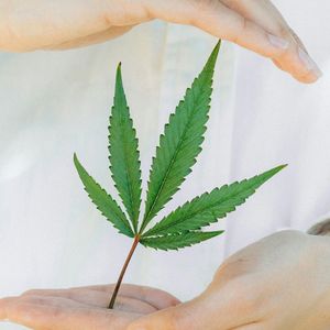 html image assignment html image assignment