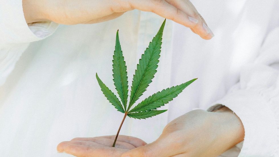 
<p>Justice Dept plans to reschedule marijuana as a lower-risk drug</p>
