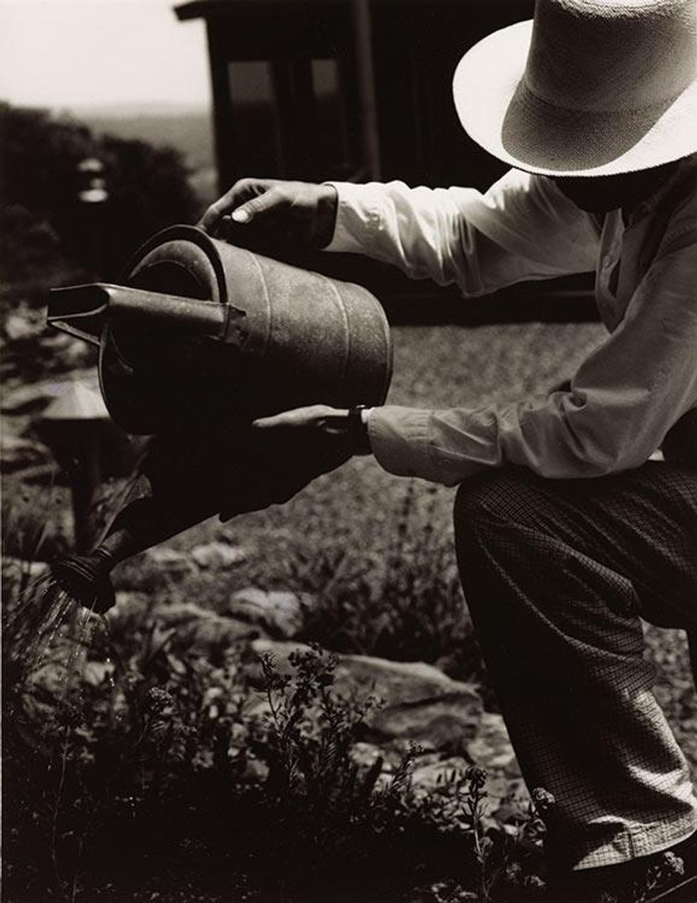 Jack Watering From the portfolio Jack's Garden