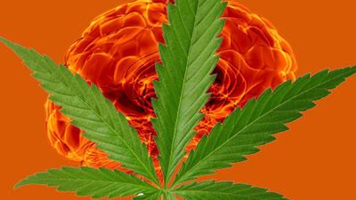Marijuana_brainx400