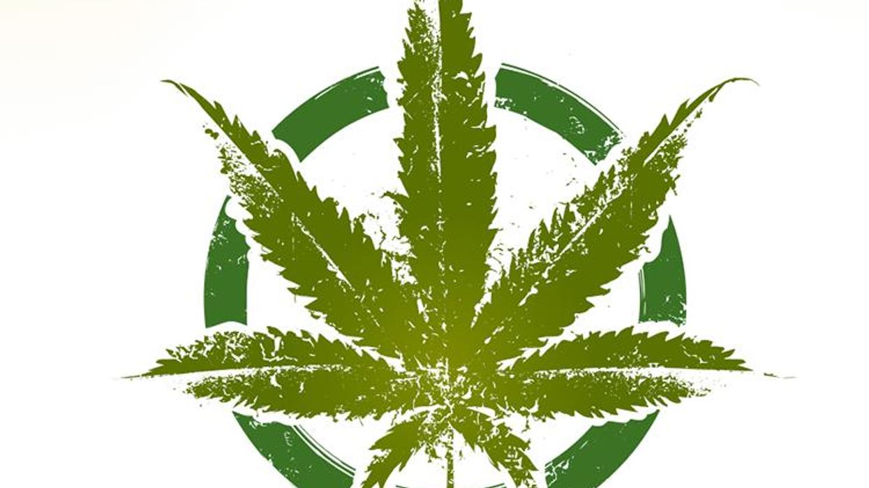 My Pineapple Express