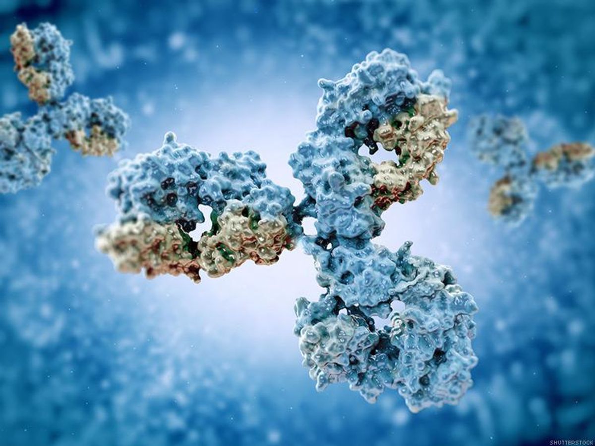 Researchers Discovered Antibody Therapy Leads to Long-term Viral Suppression 