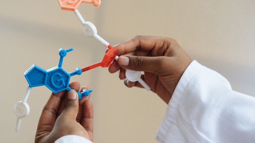 
<p>Gene Therapies Show Promise for HIV Elimination</p>
