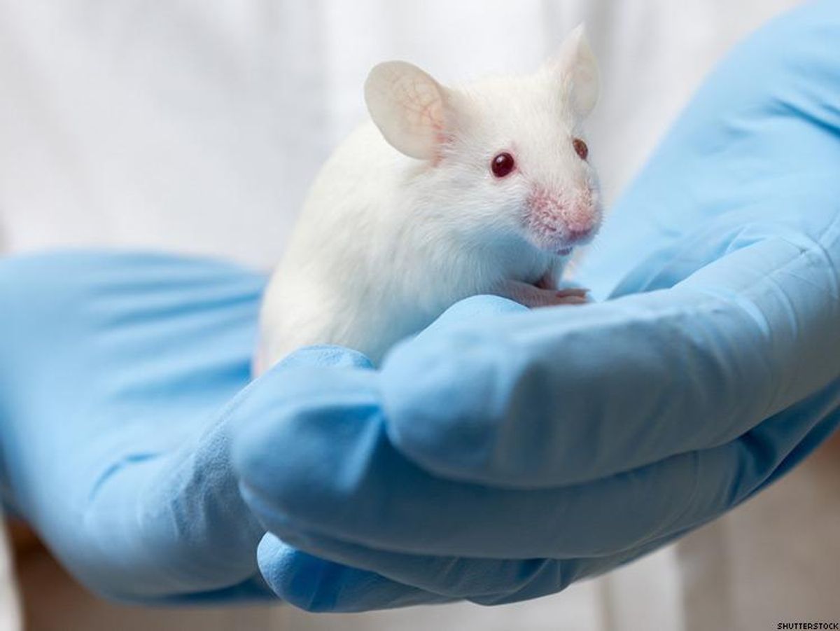 Science Breakthrough: HIV Genetically Eliminated in Mice