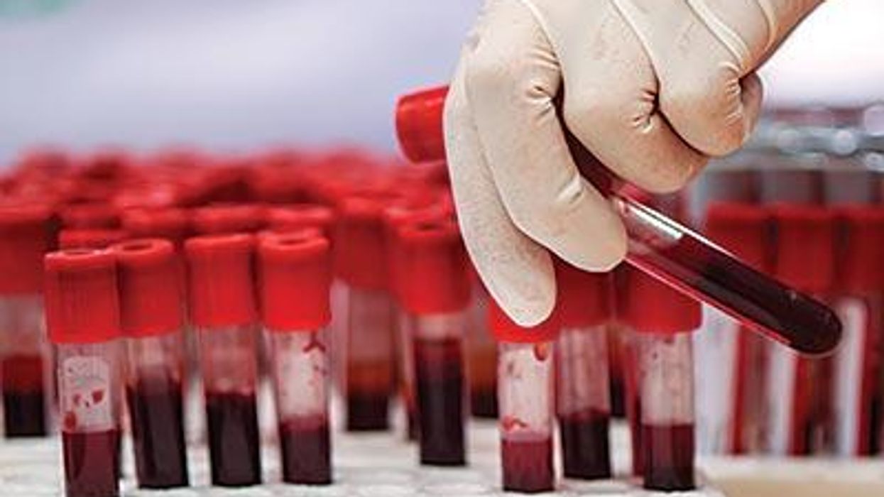 Shutterstock_229275910x400x300