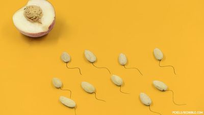 Gay Man Sues Canada Over Sperm Donation Discrimination