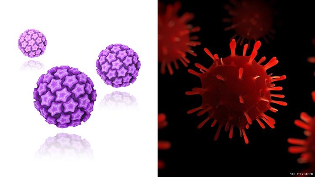 Study links individual HPV types to HIV infection