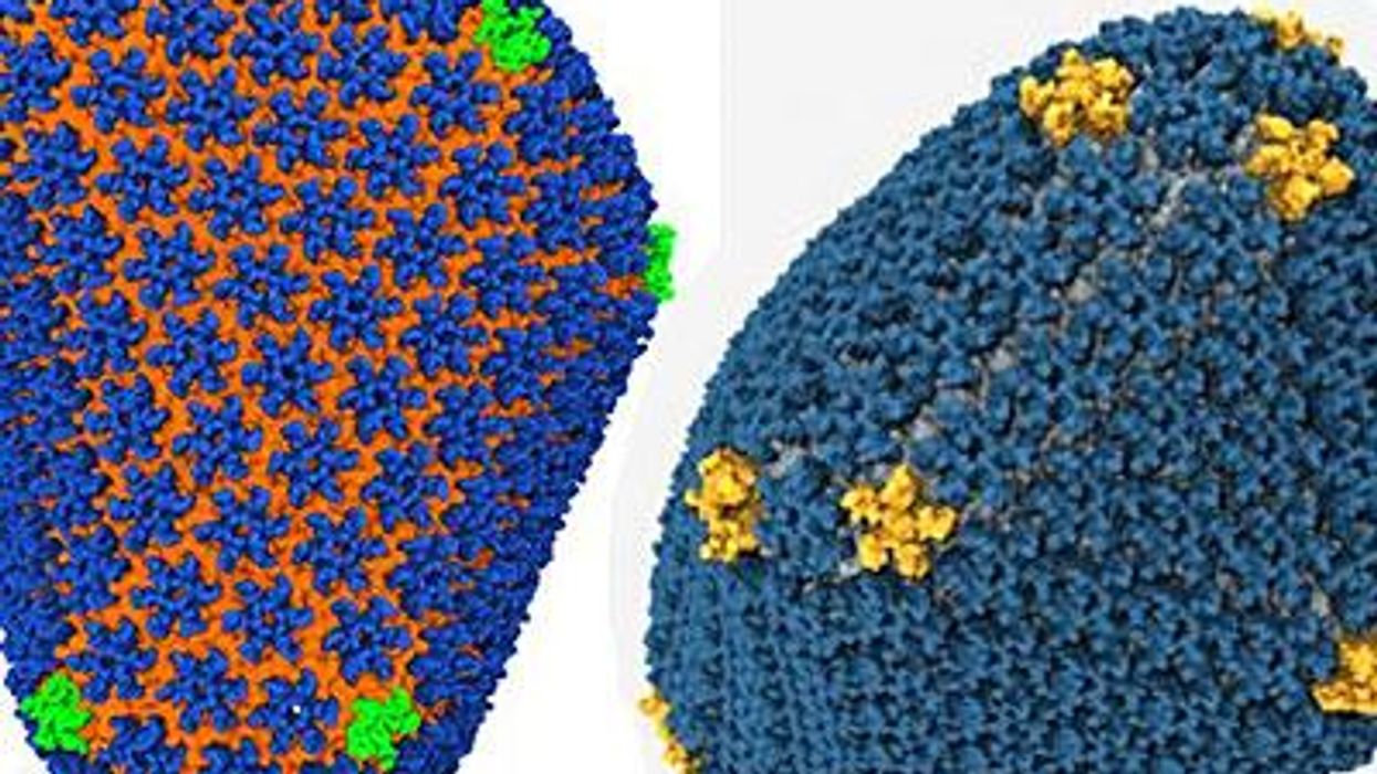 Supercomputer_hiv_renderingx400