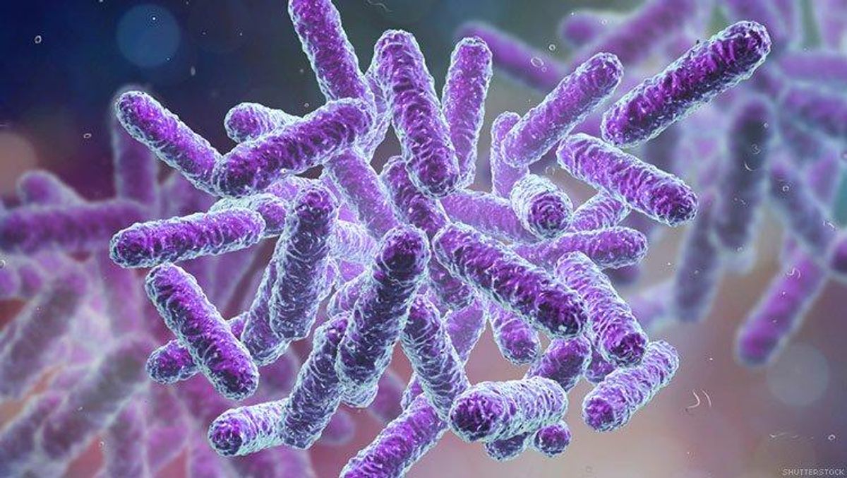 What Is Shigella? An Explainer of the STI Exploding Among Gay Men