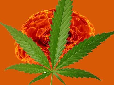 How Pot Could Stop HIV
